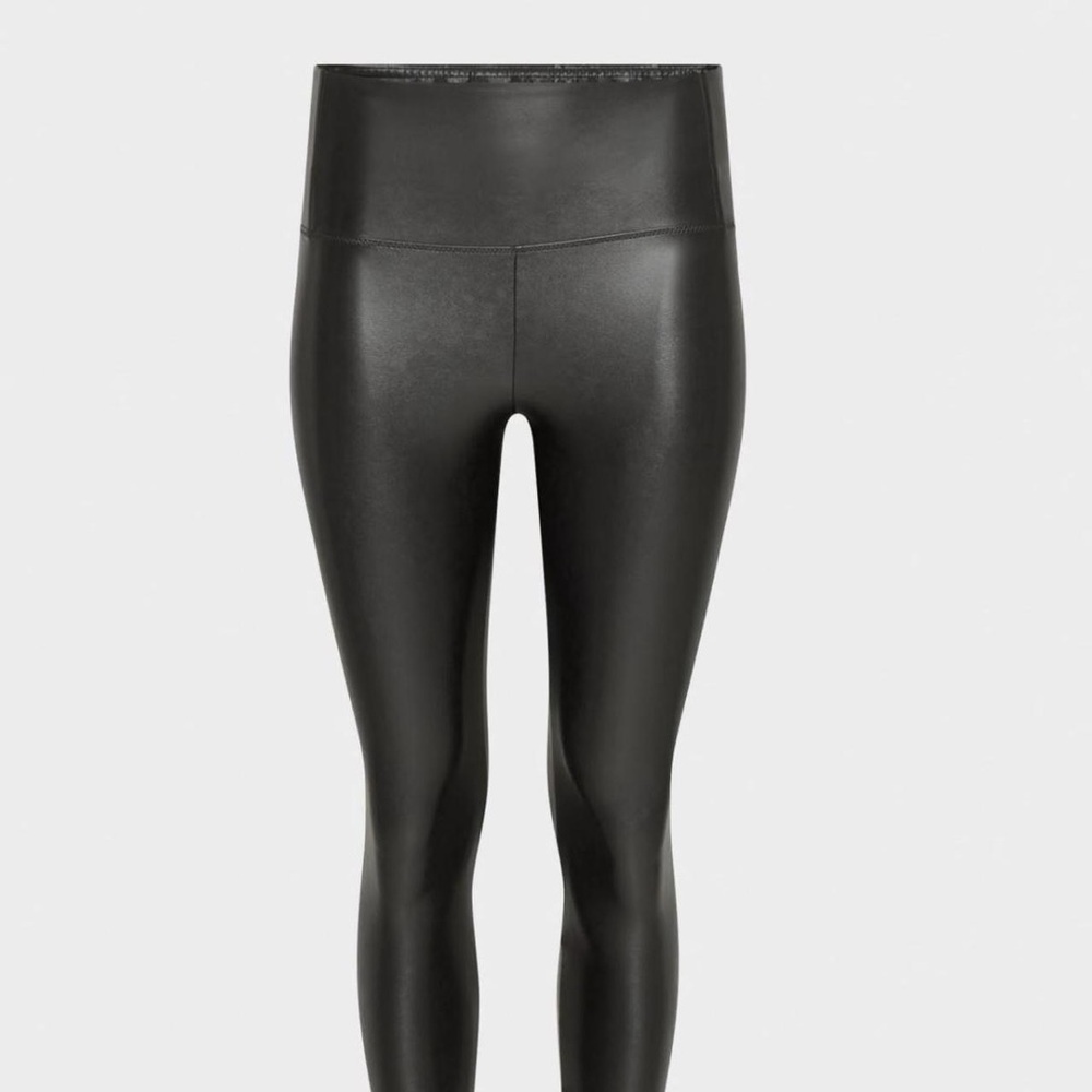wilfred aritzia black leather pants